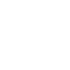 icono in
